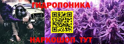 спиды Кандалакша