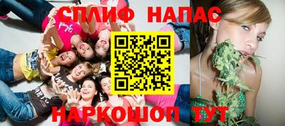 дмт Камышлов