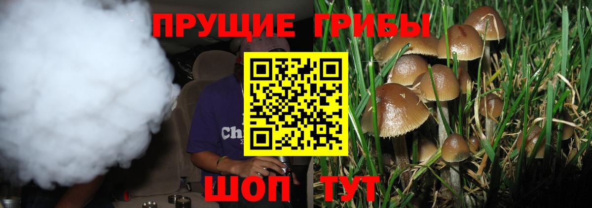 Дубна  Псилоцибиновые грибы мицелий  как найти закладки  Вход с VPN 